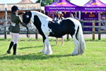 SBM_11701
