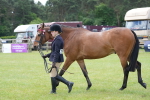 SBM_15836
