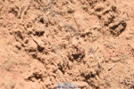 230526A-113944-01559