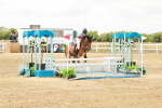 SBM_018308