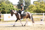 SBM_009407