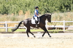 SBM_003381