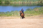 WJ6_7981