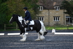 WJ5_8674