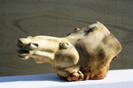 Equus 1