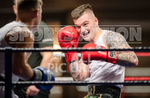 Sparring Bout-7_Casey De La Mare v Billy Poullain-8