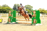 SBM_000291