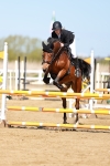 SBM_000976