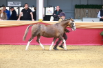 SBM_02995