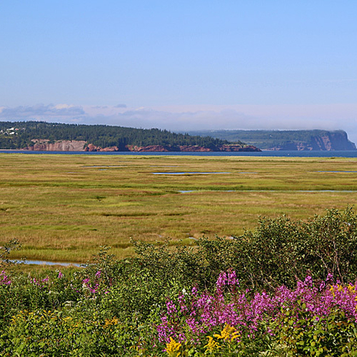 Bay of Fundy Salt Marsh near St. Martins, New Brunswick.