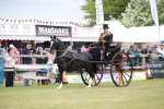 SBM_05929