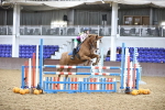 SBM_003391