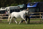 SBM_00766