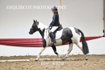 BPP_8330