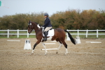 SBM_000356