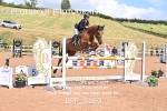 BPP_9160