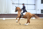 SBM_008979