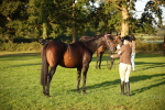 SBM_56892