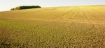 White Hill, North Stoke