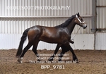 BPP_9781