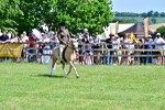 SBM_15281