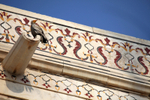 The Egyptian Vulture on the Taj Mahal, India