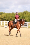 SBM_009642