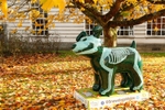20. Dog With A Bone, Cardiff University