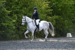 WJ5_9577