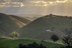 Havelock North Sunset