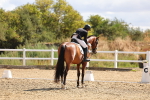 SBM_004099