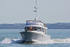 160826 BERTIE Y92A6263_Edit