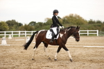 SBM_002620