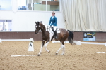 SBM_000961