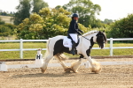 SBM_006973
