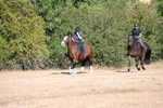 WJ6_7463