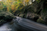 River North Esk at Grannochy, Autumn Colour 13