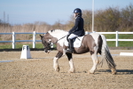 SBM_004206