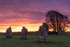 Avebury-141214-016