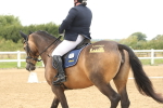SBM_008878