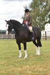 Class 122-123 - LIHS BHSA Raising Star Style and Performance Series portfolio