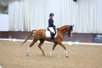 SBM_018781