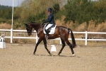 SBM_013684