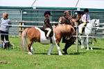 SBM_05733