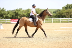 SBM_007806