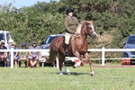 JPP_1945