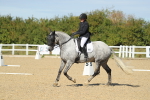 SBM_001872