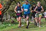 Dovedale-1315
