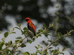 P1078685