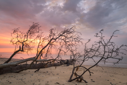 Covehithe Dawn